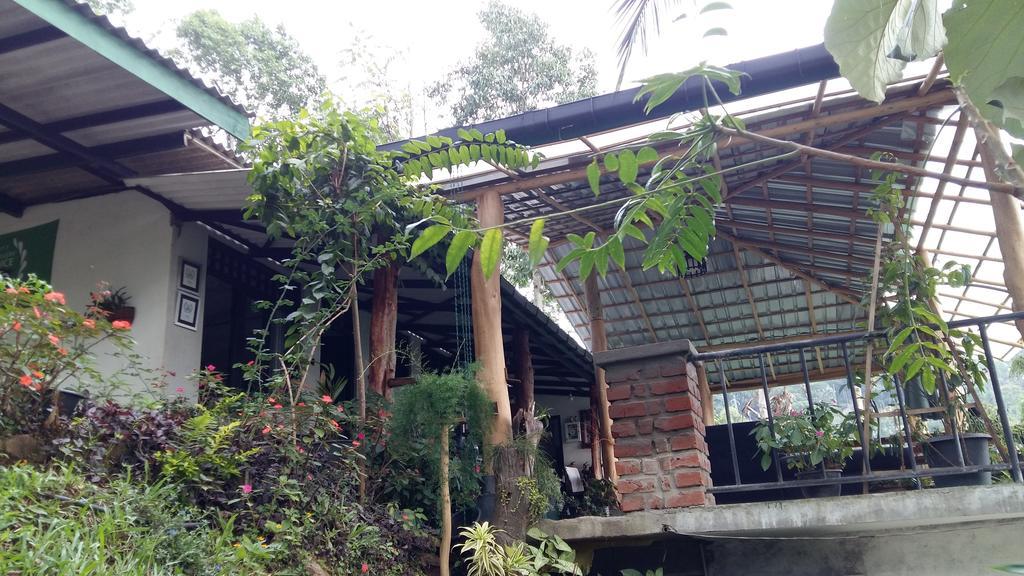 Idyll Homestay Ella Exterior foto